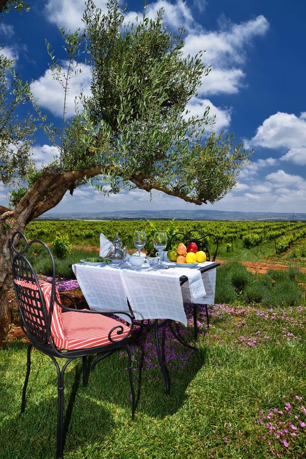 Chateau Roslane Boutique Hotel & Spa 梅克内斯 外观 照片